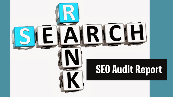 How SEO Reports Can Help Your Business Grow