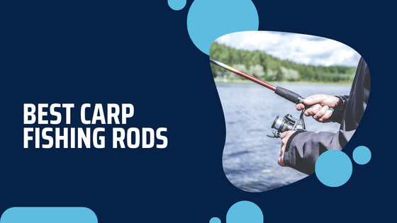 How To Choose the Best Carp Fishing Rod?